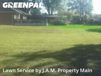 Lawn Care Service nearby Romulus, MI, 