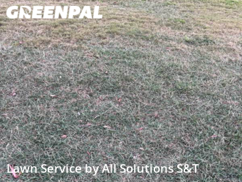 Grass Cutting nearby Haines City, FL, 