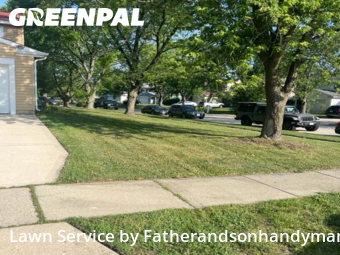 Yard Grooming in Glendale Heights, 60139, Lawn Upkeep by Fatherandsonhandyman, work completed in Nov , 2025