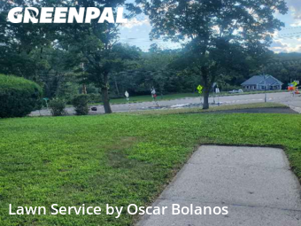 Grass Cut nearby Endicott, NY, 