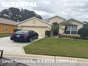 Lawn Care nearby Spring Hill, FL, 