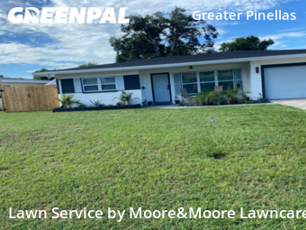 Lawn Care Service nearby St. Petersburg, FL, 