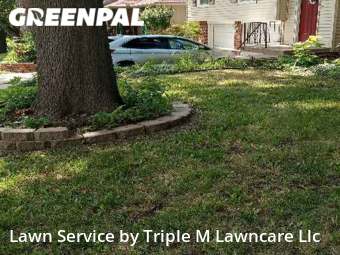 Grass Cutting nearby Blue Springs, MO, 