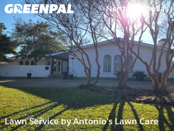 Grass Cutin Dallas,75214,Lawn Care by Antonio's Lawn Care, work completed in Jan , 2026