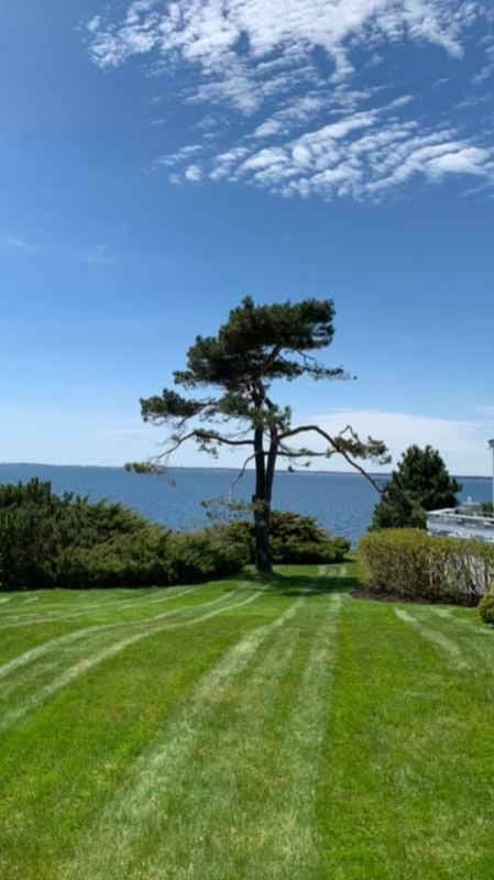 cheap-lawn-cutting-businesses-in-Gresham-OR