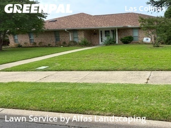 Landscape Design In Irving,75038,Landscaping Maintenance by Alfas Landscaping, work completed in Jun , 2026