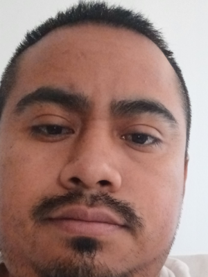 Flores Lawn Care  headshot