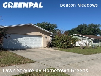 Lawn Care Service nearby Tampa, FL, 