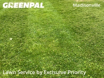 Lawn Care nearby Cincinnati, OH, 