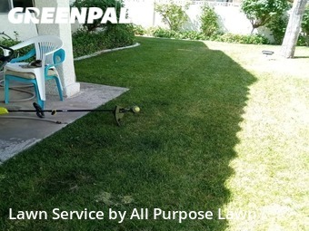 Grass Cut nearby Las Vegas, NV, 