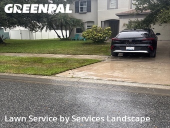 Lawn Cut nearby Kissimmee, FL, 
