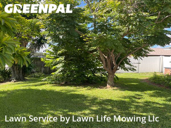 Grass Cut nearby Palm Bay, FL, 