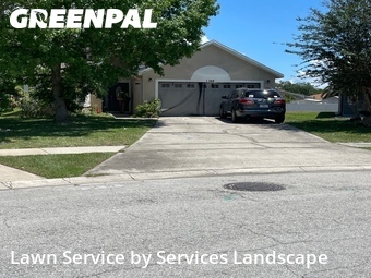 Grass Cut nearby Kissimmee, FL, 
