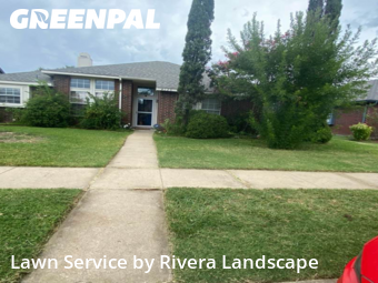 Grass Cutting nearby The Colony, TX, 