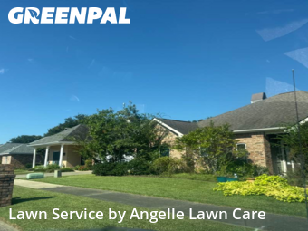 Yard Cutting nearby Lafayette, LA, 