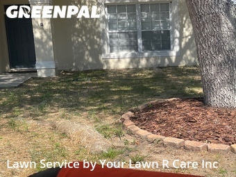 Lawn Cut nearby Davenport, FL, 