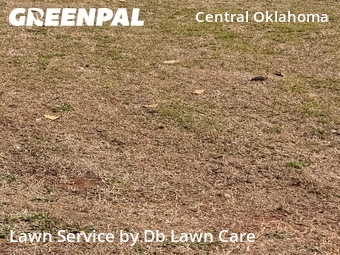 Lawn Cut nearby Oklahoma City, OK, 