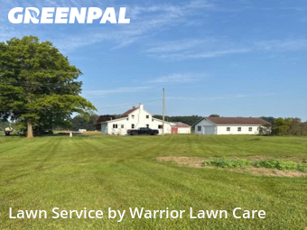 Lawn Cut nearby Petersburg, MI, 