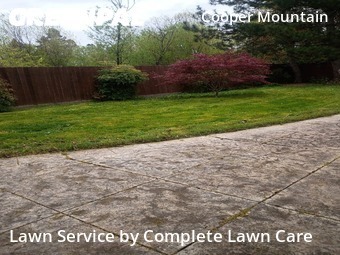 Grass Cut nearby Beaverton, OR, 