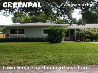 Lawn Maintenance nearby Cape Coral, FL, 