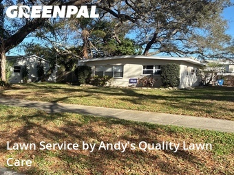 Grass Cut nearby St. Pe Tersbug, FL, 