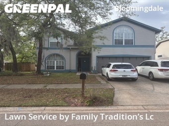 Lawn Cutting nearby Valrico, FL, 