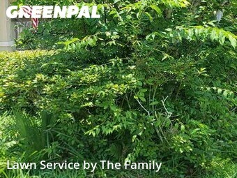Lawn Cutting nearby Longwood, FL, 