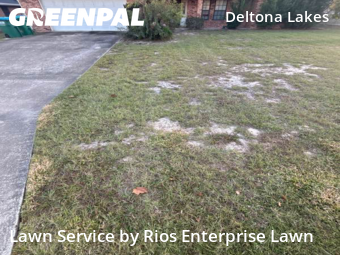 Yard Cutting in Deltona, 32725, Property Maintenance by Rios Enterprise Lawn, work completed in Nov , 2025