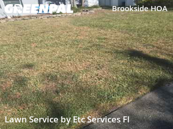 Grass Cuttingin Clearwater,33764,Lawn Mow by Etc Services Fl, work completed in Dec , 2025