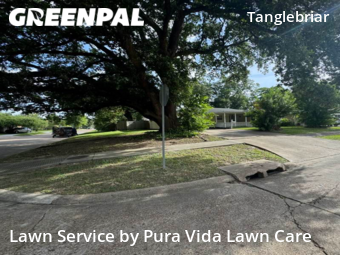 Grass Cutting nearby Pasadena, TX, 