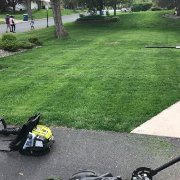 affordable-grass-cutting-businesses-in-Twin Cities-MN