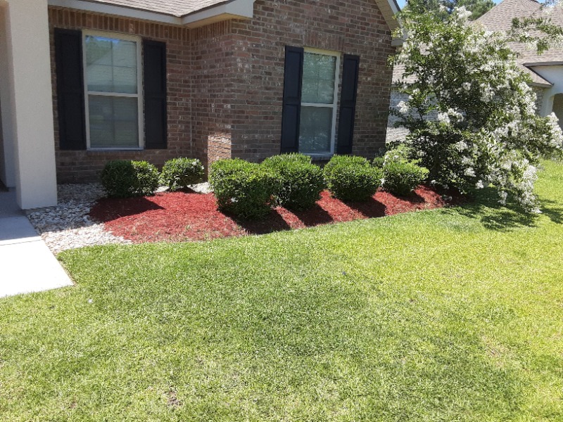 Lawn Care Service in Covington, LA, 70433