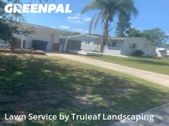 Grass Cut nearby Bradenton, FL, 