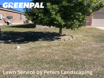 Yard Upkeep in Temple, 76502, Yard Work by Peters Landscaping, work completed in Nov , 2025