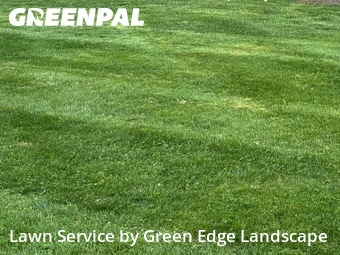 Grass Cut nearby New City, NY, 