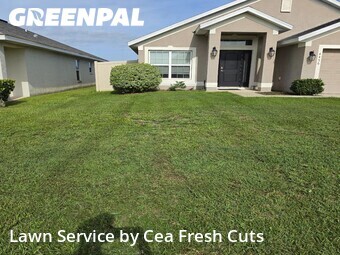 Lawn Mow nearby Ocala, FL, 