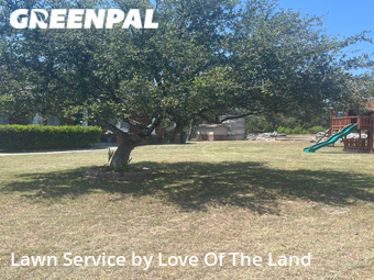 Lawn Cut nearby San Antonio, TX, 