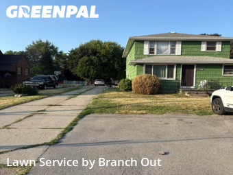 Grass Cutting nearby Buffalo, NY, 