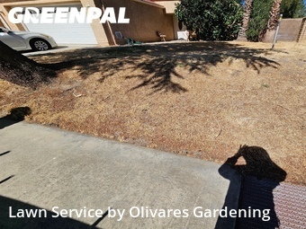 Lawn mowing work completed in Palmdale, CA