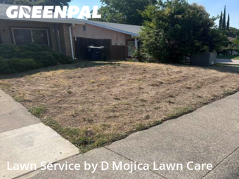 Grass Cut nearby Citrus Heights, CA, 