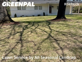 Grass Cutting nearby Birmingham, AL, 