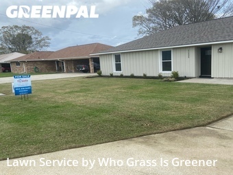 Grass Cut nearby Saint Amant, LA, 