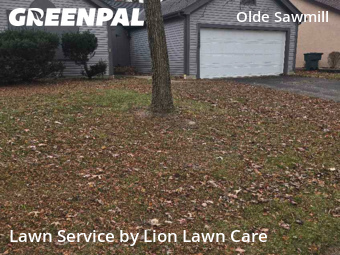 Grass Cutting nearby Dublin, OH, 