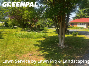 Grass Cut nearby Greensboro, NC, 