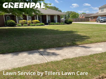 Lawn Cutting nearby New Market, AL, 