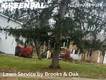 Lawn Mow nearby Naperville, IL, 