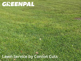 Lawn Maintenance in Bradenton, 34205, Weed Trimming by Conlon Cuts, work completed in Nov , 2025