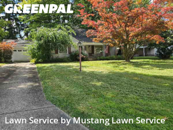 Grass Cut nearby Youngstown, OH, 