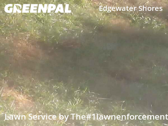 Lawn Cutting nearby Edgewater, FL, 