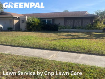 Lawn Carein Tampa,33624,Yard Mowing by Cnp Lawn Care, work completed in Dec , 2025